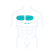 Chest
